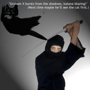 'Graham X bursts from the shadows, katana blazing!' (Next time maybe he'll see the cat first.)