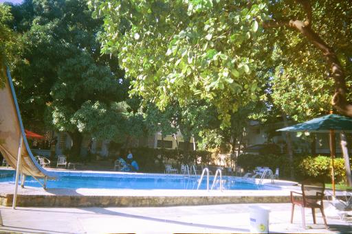 the pool at the hotel