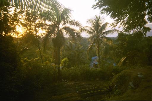 random scenery in Haiti
