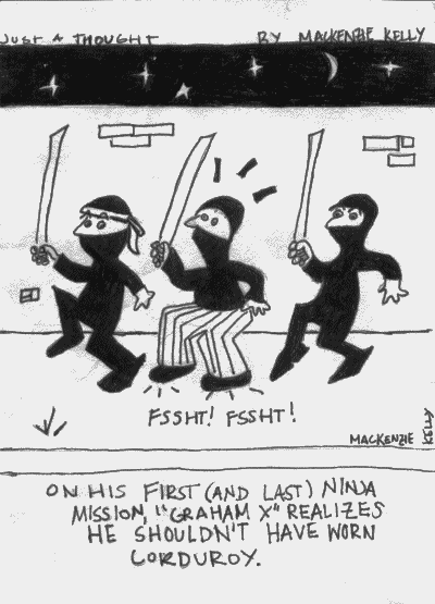 On his first (and last) ninja mission, 'GRAHAM X' realizes he shouldn't have worn corduroy.